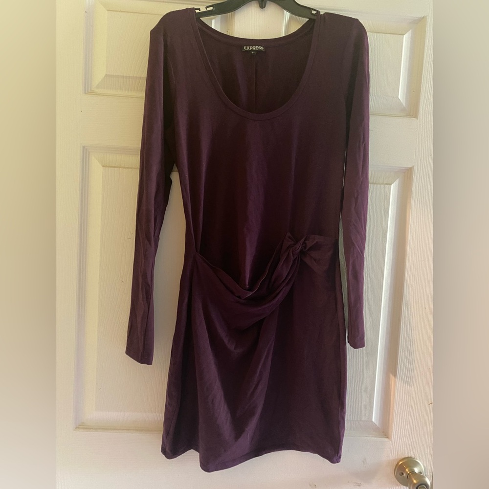 Express Deep Purple Long Sleeve Dress